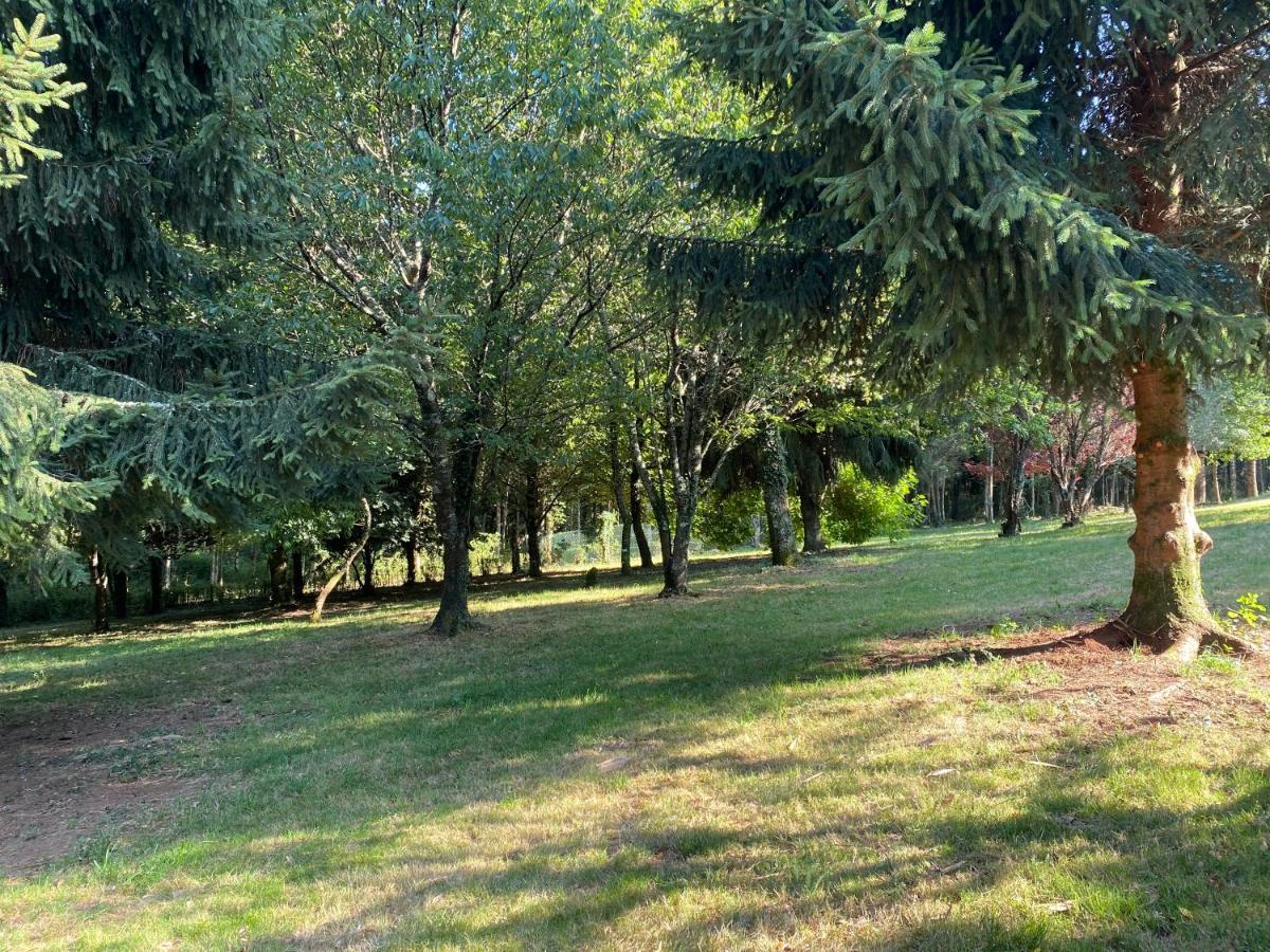 O Casal Das Arbores Santiago de Compostela Zewnętrze zdjęcie